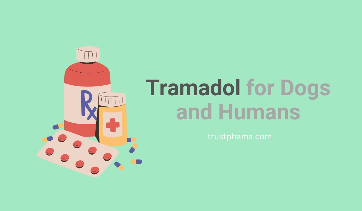 Tramadol-for-Dogs-and-Humans-Uses-Dosage-and-Safety